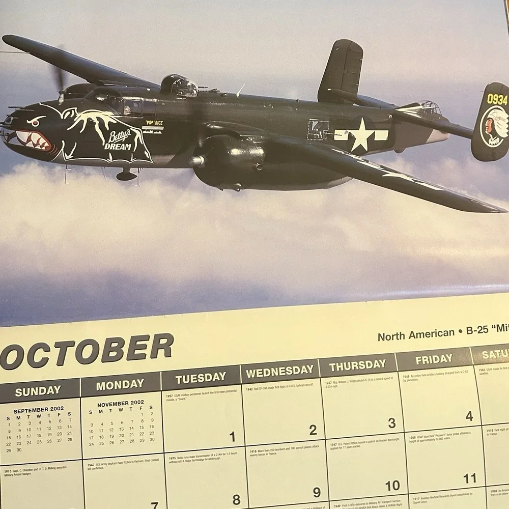 2002 Ghost Warbirds Calendar AKZO Nobel/Sparta P-51D P-47D F6F A26C P-40C . . .